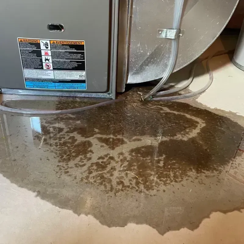 Appliance Leak Cleanup in Black Point-Green Point, CA